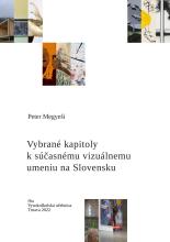Vybrané kapitoly k súčasnému vizuálnemu umeniu na Slovensku