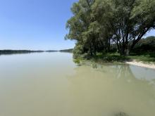 iža