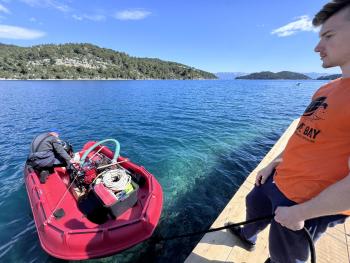 mljet