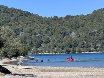 mljet