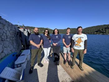 mljet