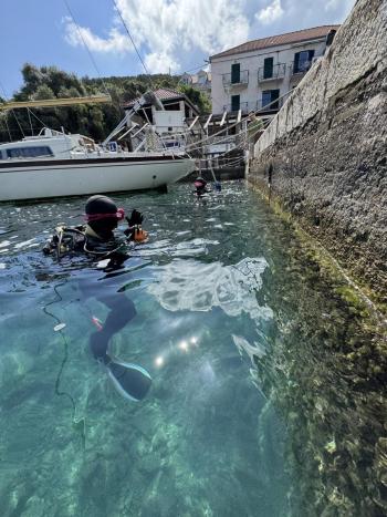 mljet